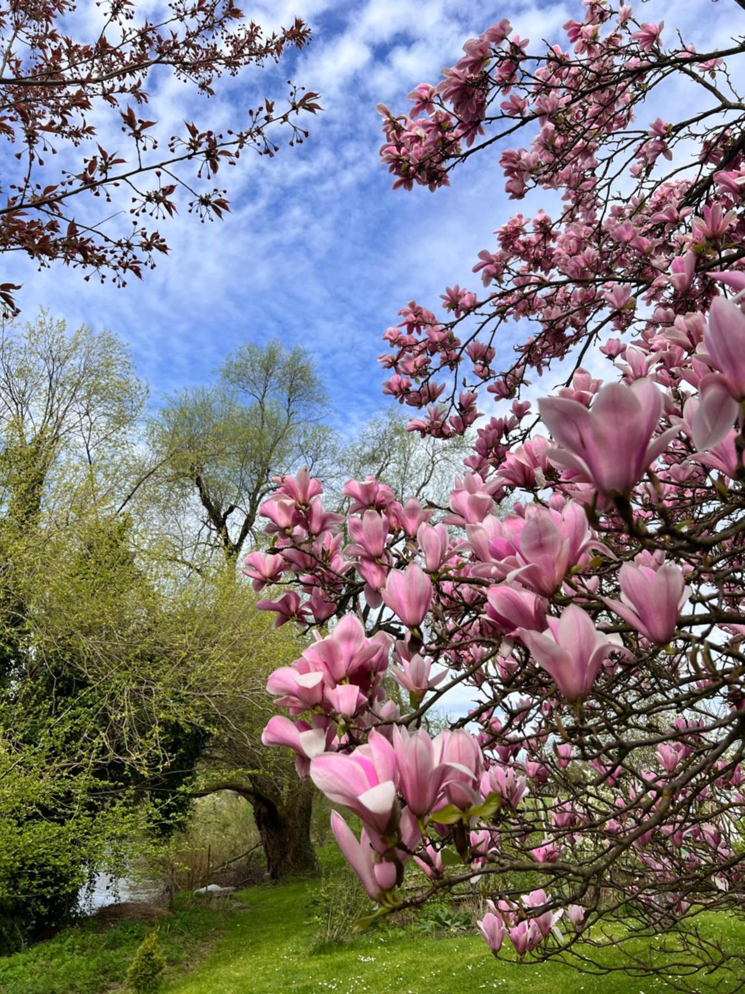 Am Flussgarten เอริสเคิร์ช ภายนอก รูปภาพ