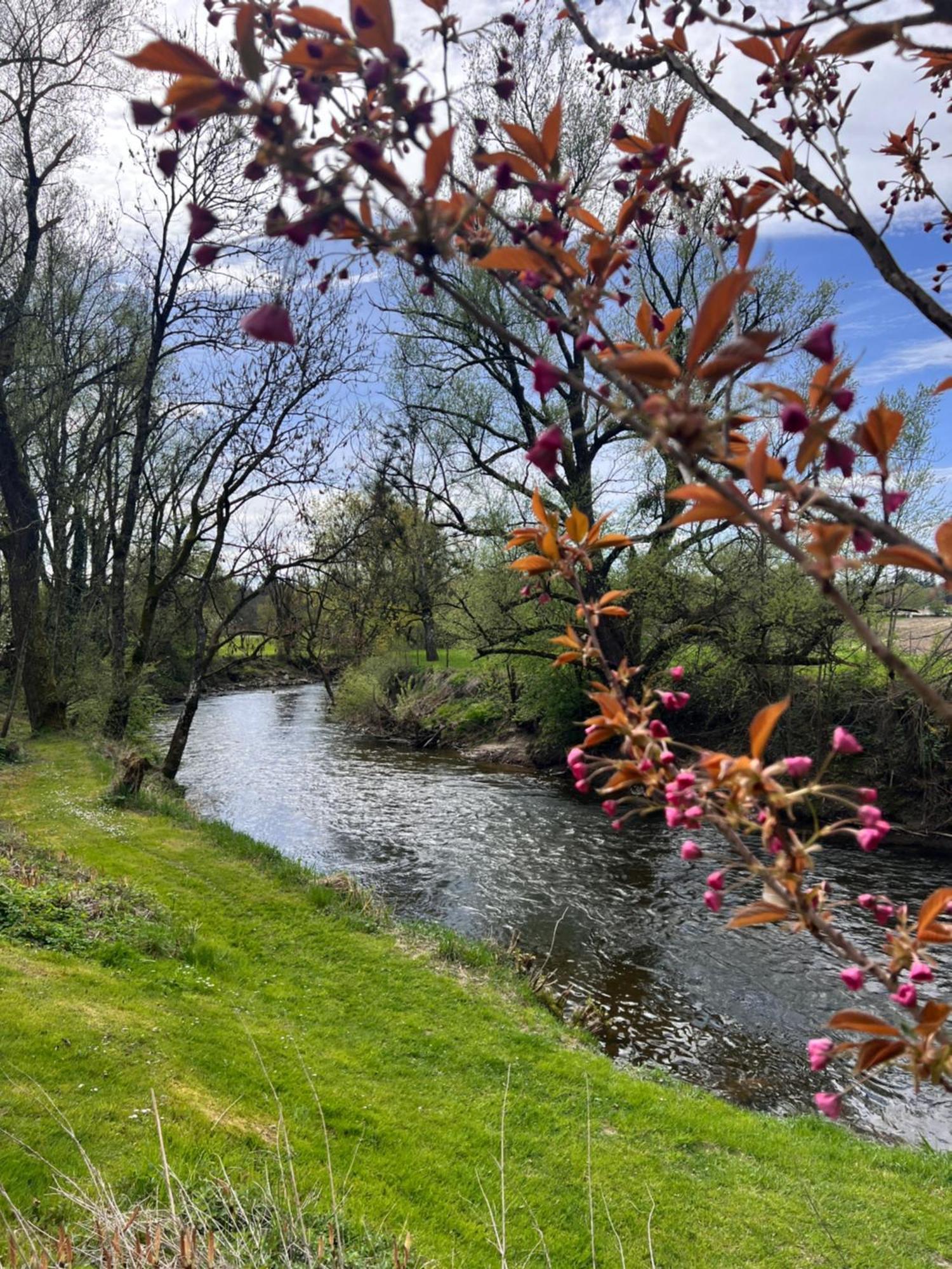 Am Flussgarten เอริสเคิร์ช ภายนอก รูปภาพ
