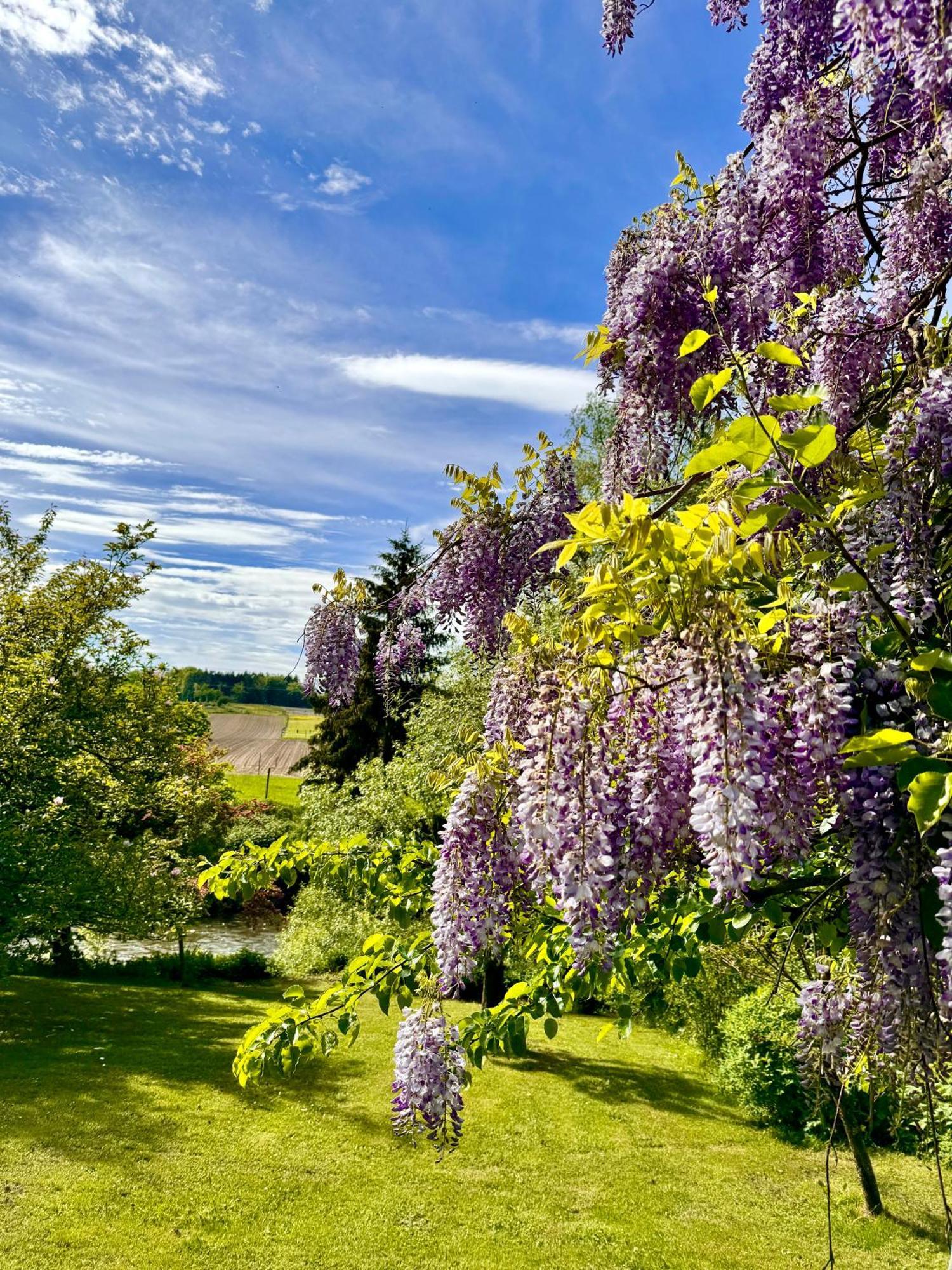 Am Flussgarten เอริสเคิร์ช ภายนอก รูปภาพ